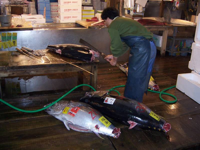 Tsukiji Fish Market