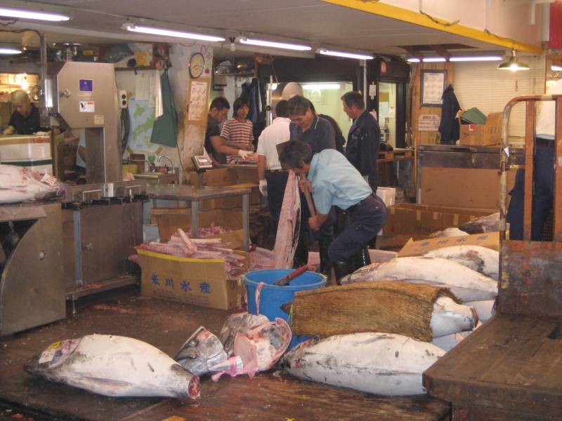 Tuna at Tsukiji Fish Market