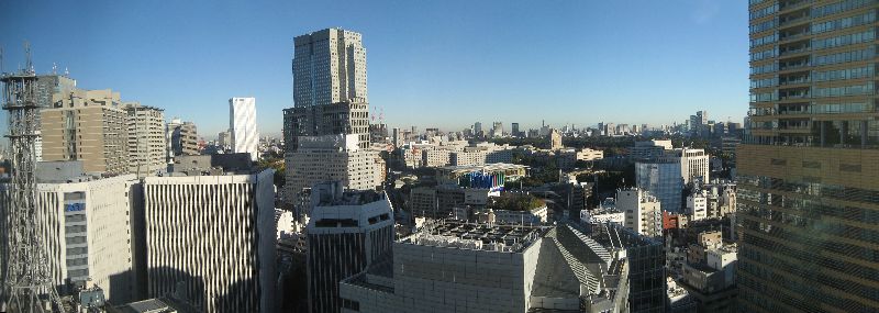 Tokyo Daytime Panorama from ANA Hotel