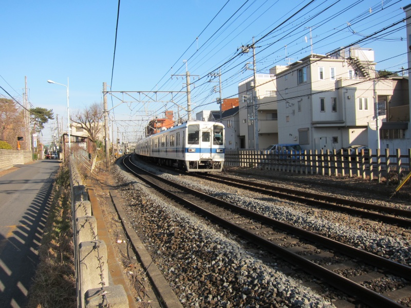 Bonsai Village - Local Train